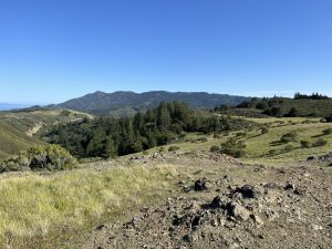 PIcture of Mt Tam with blue skies